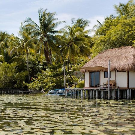 Lagoon Front Hut: Daily Cleaning, Bikes & Kayaks! Bacalar Exterior photo